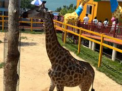 -西霞口神雕山野生动物世界