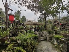 -青城甲(青城山店)