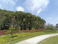 -昆山城市生态森林公园