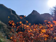 -圣莲山风景区
