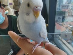 -怪兽屋·羊驼·猫咖·狗咖(俊华广场店)