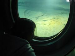 -白鹤梁水下博物馆