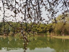 -昆山城市生态森林公园