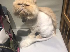-小时光咖啡馆(开森度假森林店)