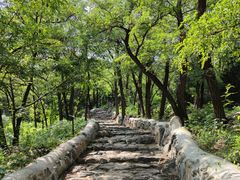 -阳台山自然风景区