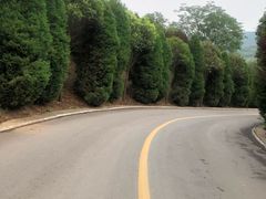 -少林寺欢喜地素斋馆