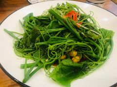 -巴依老爷新疆美食(望京小街店)