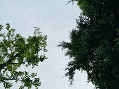 -新虹桥中心花园