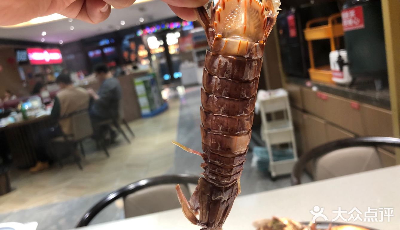 大锅强[强]