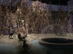 -上海长江河口科技馆