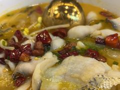 -Aqua Oasis 水天堂(常熟永旺店)