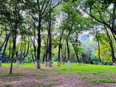 -长白岛森林公园