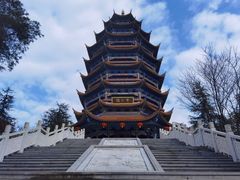 -铁山坪森林公园