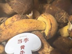 -蘑界·野生菌火锅(深业上城店)
