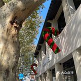 带了一杯栗子奶奶去西湖边喝～
栗子泥➕麻薯打底➕鲜奶油