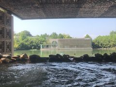 -春晖园度假酒店温泉