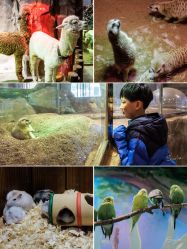 -宝燕乐园(闵行旗舰店)