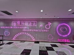 -摩天活力城·摩天轮
