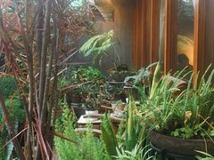 -时光花园(白鹭洲店)