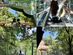 -嵖岈山风景区