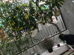 -绿岛港轩海鲜烤肉涮锅自助餐厅