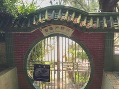 -广东惠东海龟国家级自然保护区