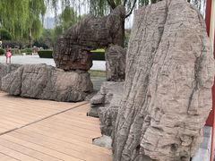 -洛阳市隋唐城遗址植物园