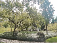 -新虹桥中心花园