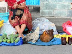 -西双版纳集贸市场