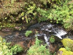 -五营红松林海景区