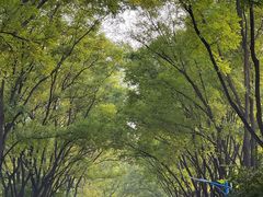 -森林公园(尖草坪区)