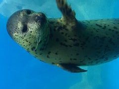 -多彩贵州城极地海洋世界