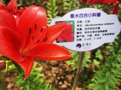 -花博汇(知音花月夜)