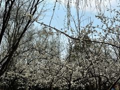 -贵阳市花溪国家城市湿地公园