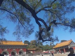 -北陵公园