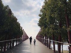 -嘉定凯悦·咖啡厅