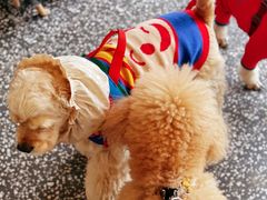 -小意思咖啡店(草桥店)