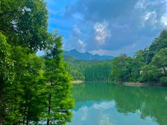 -天花井景区