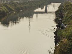 -宝安西湾红树林湿地公园