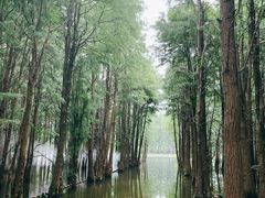 -尚湖风景区