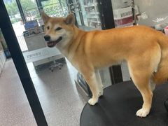 -宠物家(长阳店)