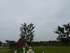 -日照海滨国家森林公园