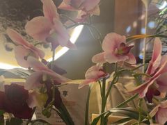 -施奈儿.洗头頭療.按摩SPA.采耳(上梅林店)