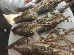 -田园肥牛鲍鱼先生(新北店)
