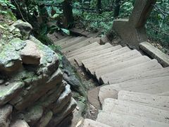 -青城山