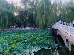 -满都海公园