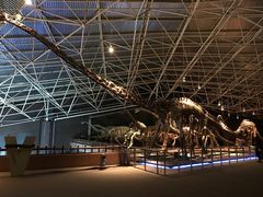 -世界恐龙谷景区