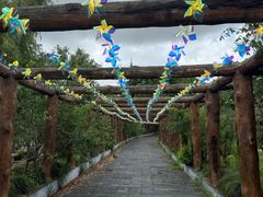 -南汇桃花村