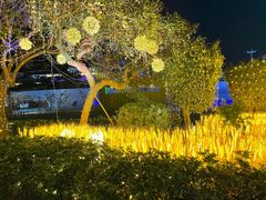 -巨鹏飞梦幻海岸