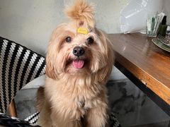 -喜洲吧·江畔老船厂·庭院餐厅(喜临院店)